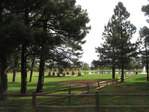 2668 Lodge Loop, Overgaard, AZ 85933 photo 33