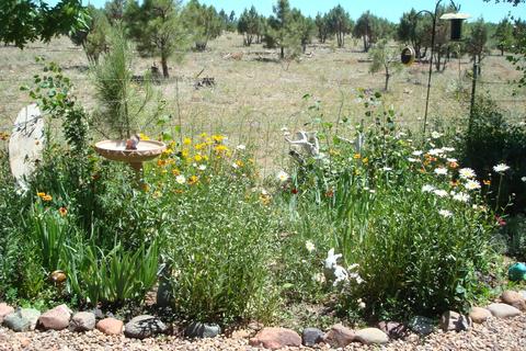 2668 Lodge Loop, Overgaard, AZ 85933 photo 2