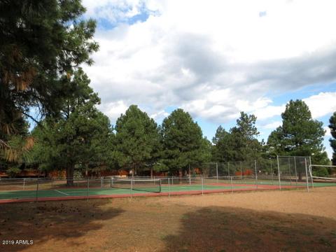 2668 Lodge Loop, Overgaard, AZ 85933 photo 32
