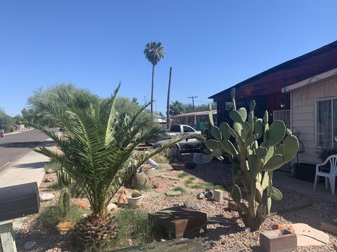 2627 E Juniper Ave, Phoenix, AZ 85032 photo 3