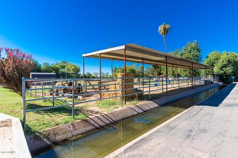 13739 E Pony Ln, Gilbert, AZ 85295 photo 31