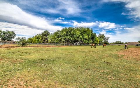 13739 E Pony Ln, Gilbert, AZ 85295 photo 58