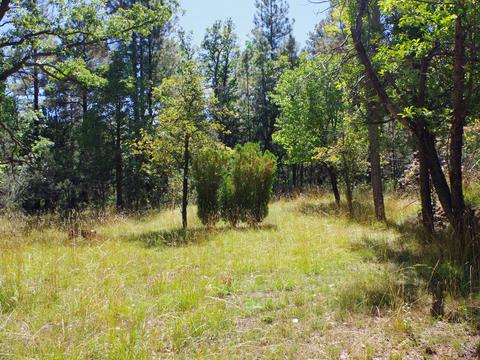 217 E Belluzzi Blvd, Payson, AZ 85541 photo 13