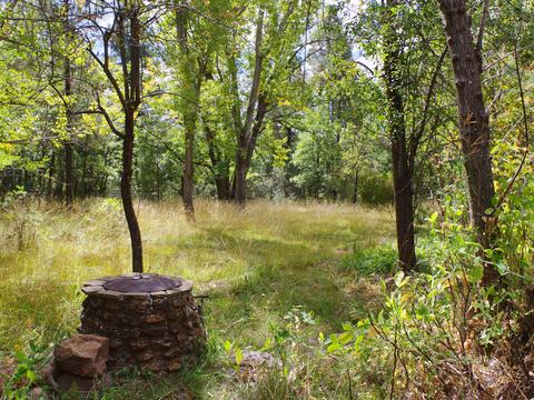 217 E Belluzzi Blvd, Payson, AZ 85541 photo 8