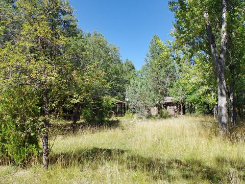 217 E Belluzzi Blvd, Payson, AZ 85541 photo 15