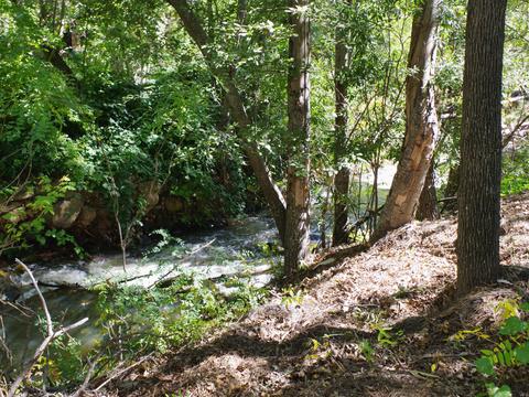 217 E Belluzzi Blvd, Payson, AZ 85541 photo 1