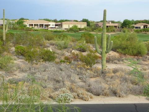 7130 E Saddleback St #12, Mesa, AZ 85207 photo 3