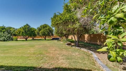 24206 S 183rd Pl, Gilbert, AZ 85298 photo 37