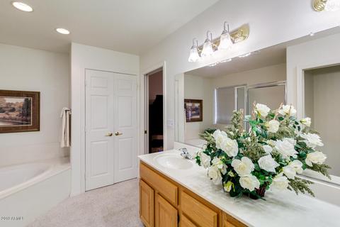 11035 E Knowles Ave, Mesa, AZ 85209 photo 25