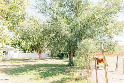 73 E Harrison St, Gilbert, AZ 85295 photo 112