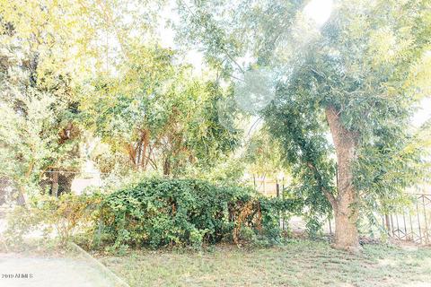 73 E Harrison St, Gilbert, AZ 85295 photo 100