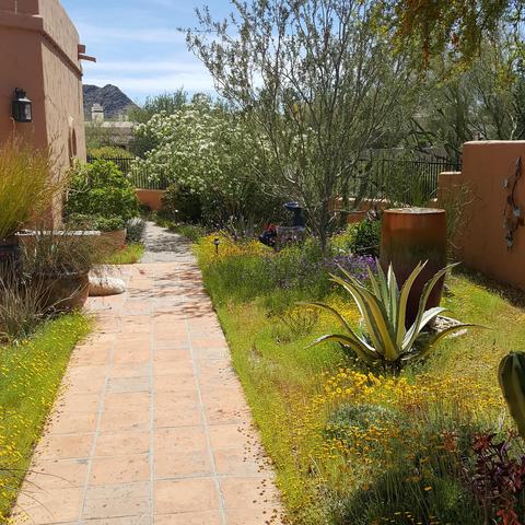 2527 E Vogel Ave, Phoenix, AZ 85028 photo 31
