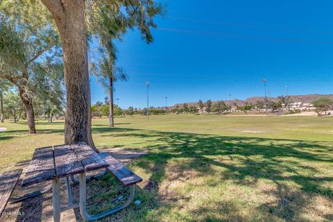 4142 E Mountain Sage Dr, Phoenix, AZ 85044 photo 28