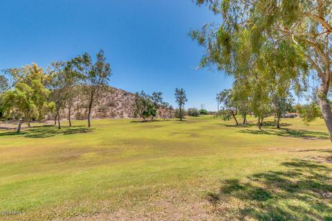4142 E Mountain Sage Dr, Phoenix, AZ 85044 photo 29