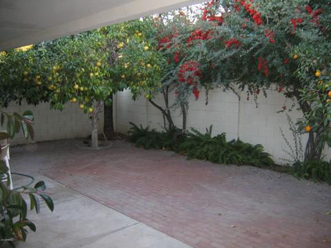 4311 E Fairmount Ave, Phoenix, AZ 85018 photo 5
