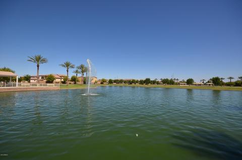 4219 E Morrison Ranch Pkwy, Gilbert, AZ 85296 photo 43