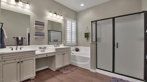 10709 E Mendoza Ave, Mesa, AZ 85209 photo 5