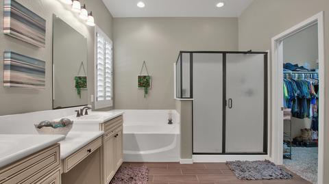 10709 E Mendoza Ave, Mesa, AZ 85209 photo 17