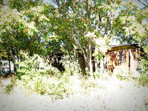13050 E Main St, Mayer, AZ 86333 photo 15