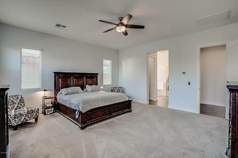 10056 E Cintron Dr, Mesa, AZ 85212 photo 20