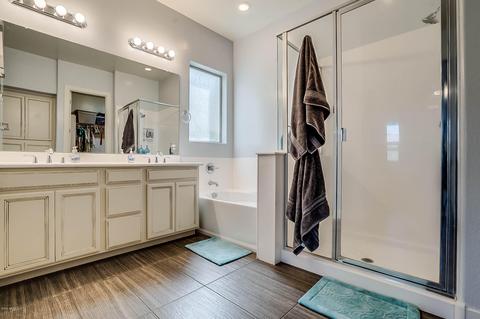 10056 E Cintron Dr, Mesa, AZ 85212 photo 5