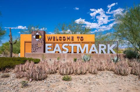 10421 E Sebring Ave, Mesa, AZ 85212 photo 49