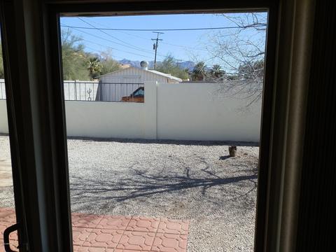 1115 S Royal Palm Rd, Apache Junction, AZ 85119 photo 59