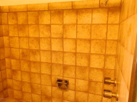 1115 S Royal Palm Rd, Apache Junction, AZ 85119 photo 56