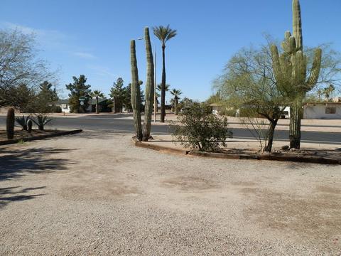 1115 S Royal Palm Rd, Apache Junction, AZ 85119 photo 19