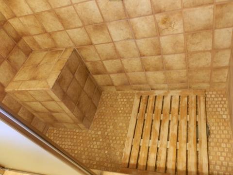 1115 S Royal Palm Rd, Apache Junction, AZ 85119 photo 55