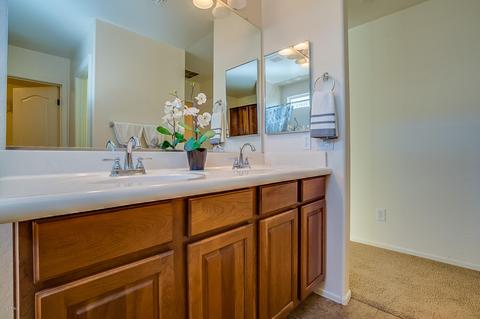 4337 E Tyson St, Gilbert, AZ 85295 photo 29