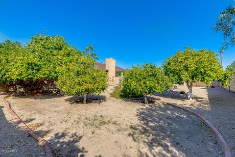 923 E Taro Ln, Phoenix, AZ 85024 photo 20