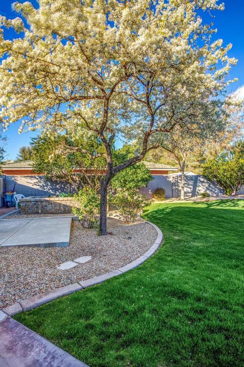 1101 E Warner Rd #115, Tempe, AZ 85284 photo 28