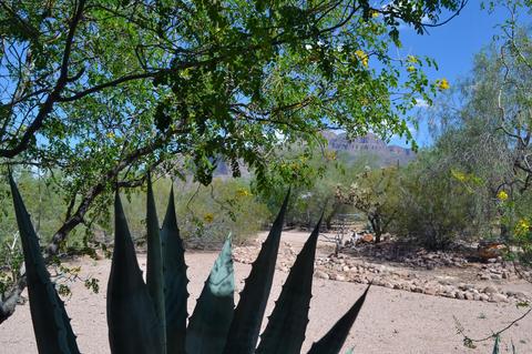 5433 E 14th Ave, Apache Junction, AZ 85119 photo 14