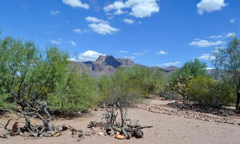 5433 E 14th Ave, Apache Junction, AZ 85119 photo 23