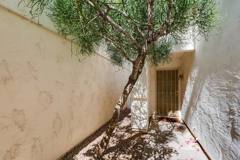 2342 E Gelding Dr, Phoenix, AZ 85022 photo 3