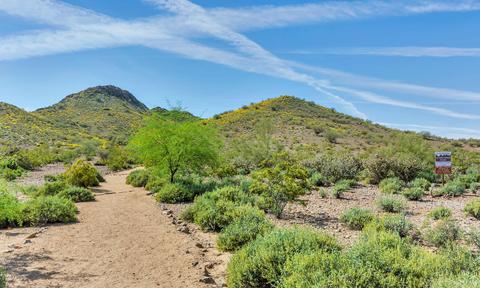 2801 E Louise Dr, Phoenix, AZ 85032 photo 29