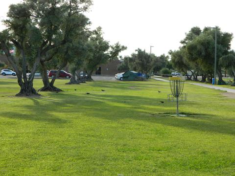 3036 E Montecito Ave, Phoenix, AZ 85016 photo 47
