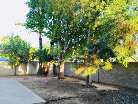 3011 E Topeka Dr, Phoenix, AZ 85050 photo 8
