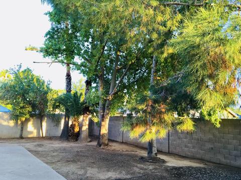 3011 E Topeka Dr, Phoenix, AZ 85050 photo 10