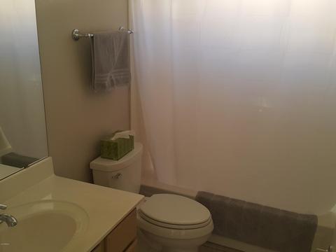 2308 E Manor Dr, Gilbert, AZ 85296 photo 16