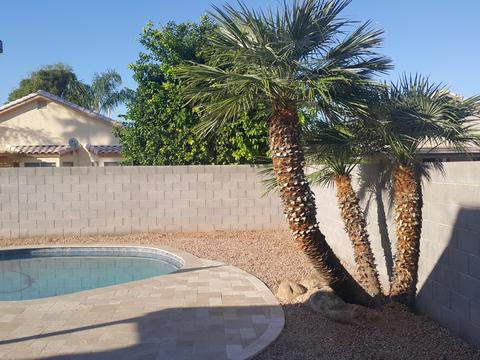 2308 E Manor Dr, Gilbert, AZ 85296 photo 23