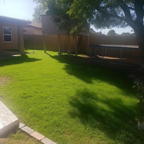 2808 E Laurel Ln, Phoenix, AZ 85028 photo 52