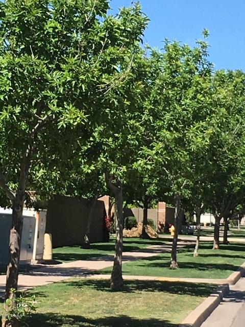 3526 E Spring Wheat Ln, Gilbert, AZ 85296 photo 18