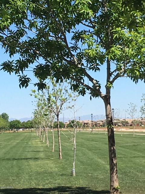 3526 E Spring Wheat Ln, Gilbert, AZ 85296 photo 17