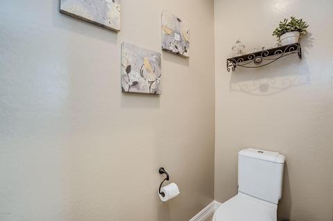 3912 E Strawberry Dr, Gilbert, AZ 85298 photo 38