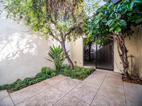 1249 E Palacio Dr, Phoenix, AZ 85014 photo 16