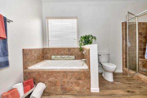 4237 N Cactus Rd, Apache Junction, AZ 85119 photo 15