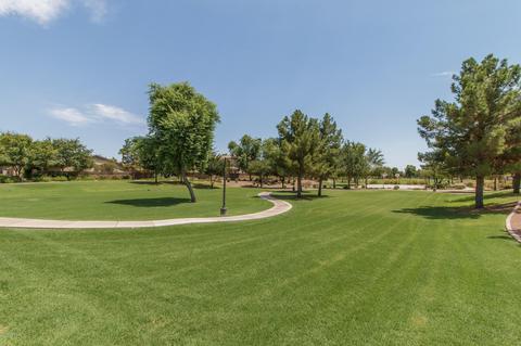 514 E Joseph Way, Gilbert, AZ 85295 photo 40