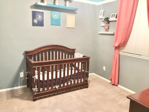 3907 S Vineyard Ave, Gilbert, AZ 85297 photo 15